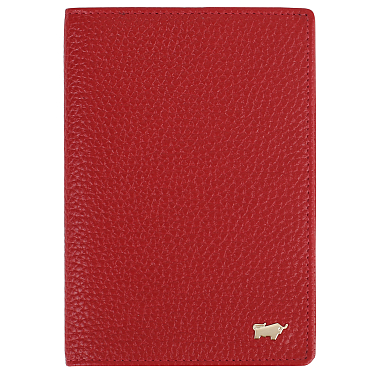 Braun Buffel
